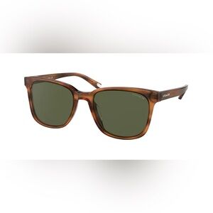 COACH Amber Horn Tortoise Shell Women’s Men's Tortoise Sunglasses